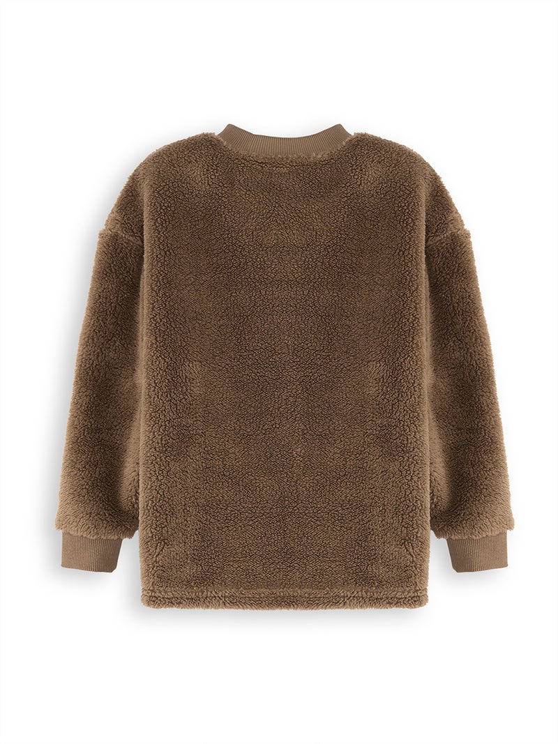 Denokids Tiger Boy Plush Sweatshirt - Image 4
